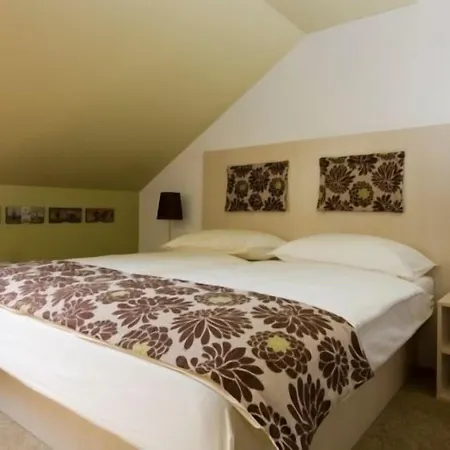 Hotel Ambient 3*